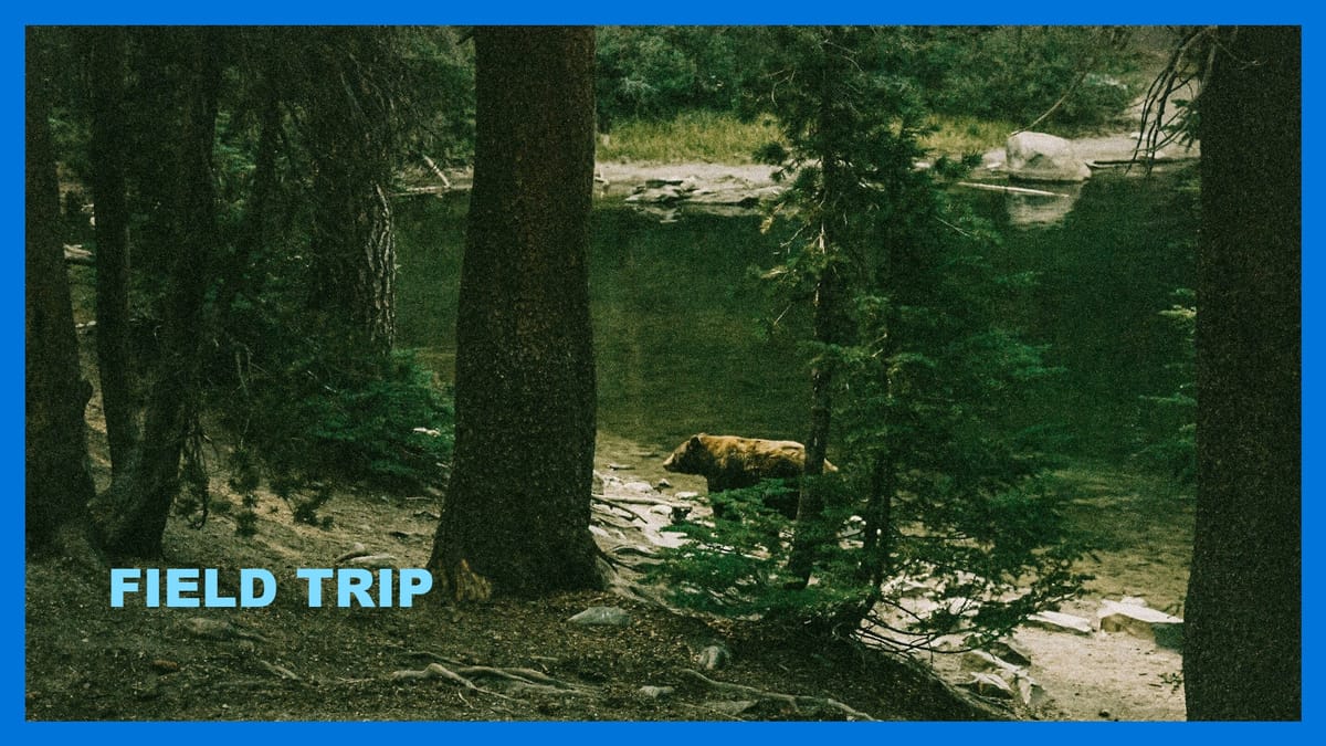 Technologists for Democracy