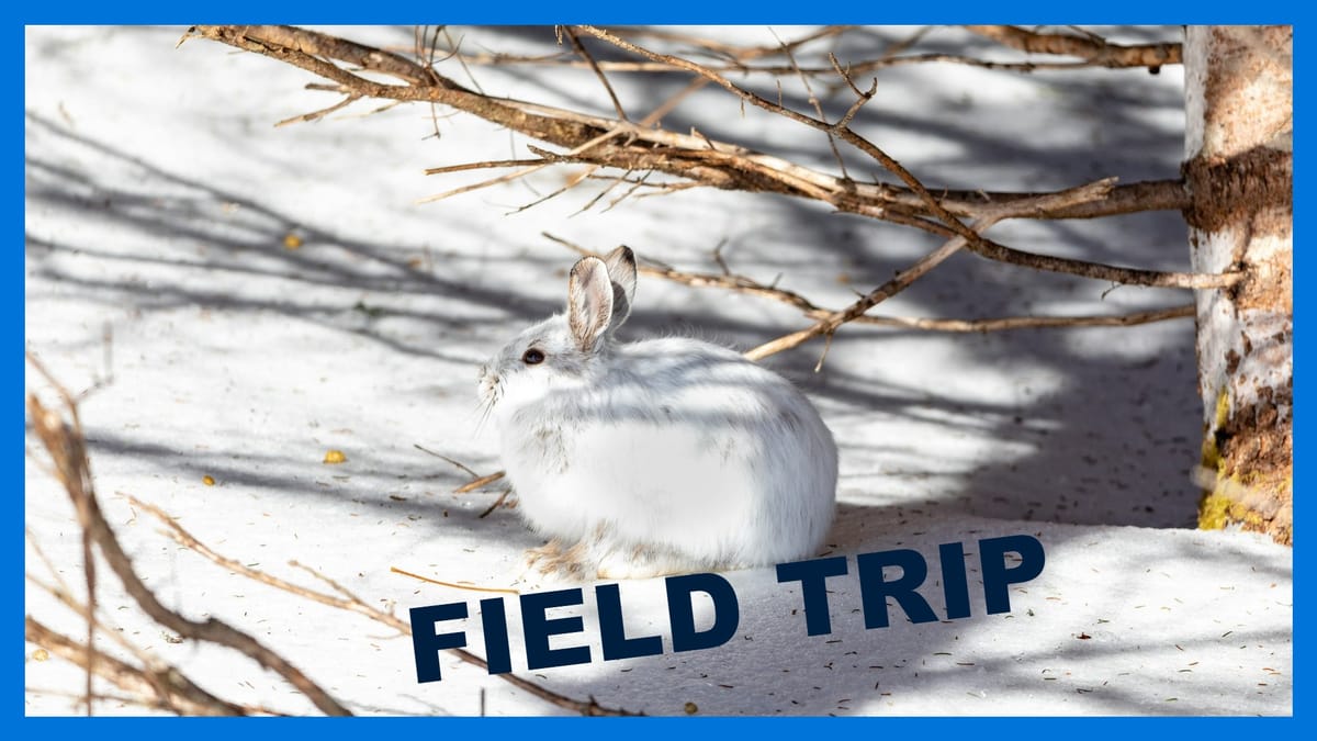 Civic Tech Toronto Archive