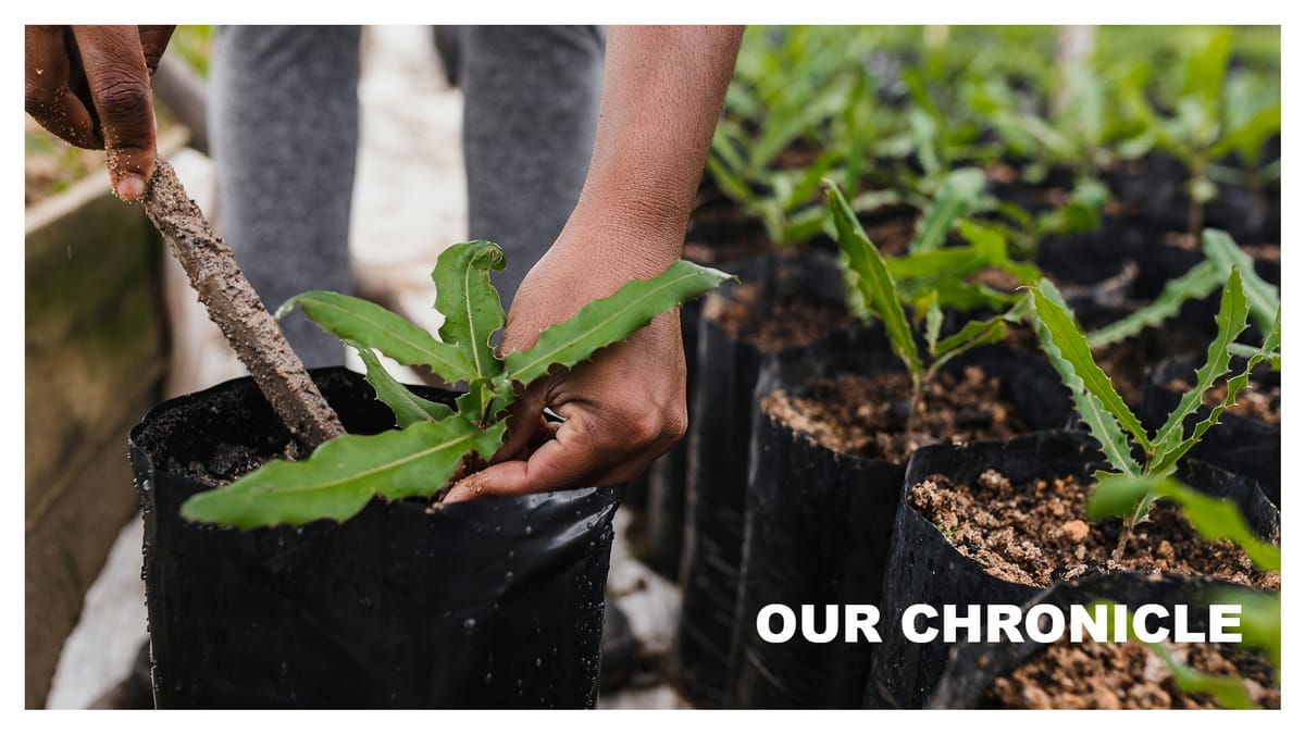 From Survey to Parties: TheBlueprint Exp #2