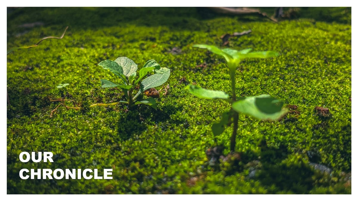 Knowledge Party: TheBlueprint Exp #1