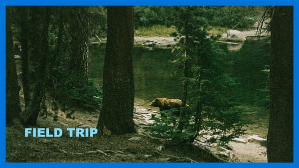 Technologists for Democracy